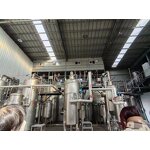 Pineapple Powder Manufacturer - 100% Organic Freeze Dried