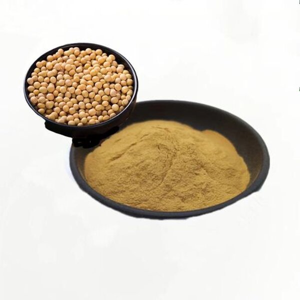 Natto Extract Powder Manufacturer - Nattokinase Enzymes Fermented