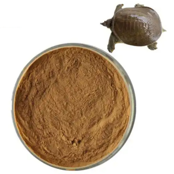 Turtle Shell Powder Manufacturer - 100% Pure Animal Extract 10:1
