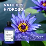 Blue Lotus Hydrosol Manufacturer - 100% Pure Egyptian Water Lily