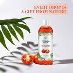 Tomato Seed Oil Manufacturer - 100% Pure Organic Cold Pressed Extra Virgin