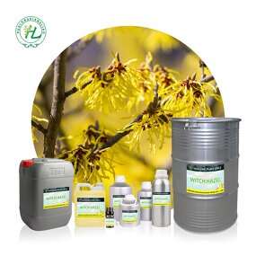 Witch Hazel Extract Manufacturer - 100% Pure Natural Hamamelis Virginiana Liquid