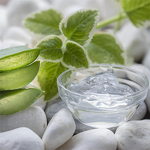 Aloe Vera Gel Manufacturer - 100% Pure Organic Freshly Cold Pressed