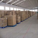 Synthetic Capsaicin Manufacturer - 99% Pure Nonivamide Powder Cas 2444-46-4