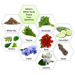 Fragrance Oil Manufacturer - High Concentration for Lobby Hilton Hotel Inspired