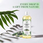 Moringa Seed Oil Manufacturer - 100% Pure Organic Cold Pressed Cosmetic Grade & OEM