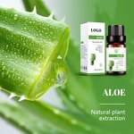 Aloe Vera Fragrance Essential Oil Manufacturer - High Scented for Diffuser & Candle & Private Label