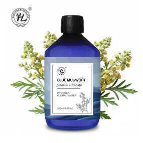 Blue Mugwort Hydrosol Manufacturer - 100% Pure Artemisia Arborescens & OEM
