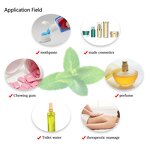 Menthol Crystal Manufacturer - 99% Pure Synthetic DL Cas 89-78-1 Cosmetic Grade