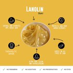 Lanolin Anhydrous Cream Manufacturer - 100% Pure Natural Australian Merino Wool