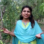 Amla Seed Oil Manufacturer - 100% Pure Cold Pressed Organic Infused for Hair Growth