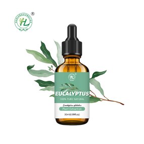 Eucalyptus Globulus Essential Oil Manufacturer - 100% Pure for Aromatherapy & OEM