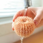 Dish Scrubber Factory - Eggshell Shape Non Scratch Scouring