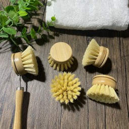 Dish Brush Supplier - Beech Wood Sisal Vegan Bristle