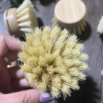 Dish Brush Supplier - Beech Wood Sisal Vegan Bristle