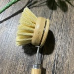 Dish Brush Supplier - Beech Wood Sisal Vegan Bristle