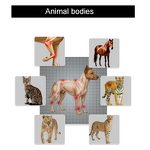 Shockwave Therapy Machine Manufacturer - Focused for Erectile Dysfunction & Pain Relief