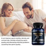 Vegan Male Fertility Capsules Manufacturer - Plant-Based Nutrients for Reproductive Health