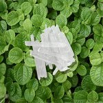 Menthol Crystal Manufacturer - Food Grade Organic for Tobacco & Industrial Flavors
