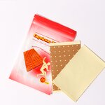 Herbal Pain Patch Manufacturer - Custom OEM/ODM Capsicum Plaster