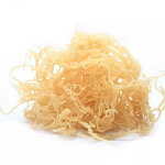 Sea Moss Gel Manufacturer - Organic, Irish Flavored, Private Label In Stock