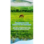 Horse Health Supplement Manufacturer - Custom Deworming Formula with Private Label