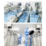 Black Cumin Seed Oil Softgel Capsules Manufacturer - Cold Pressed for Hair Growth, OEM/ODM