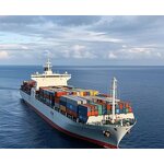 SeaMoss Gummies Manufacturer - Custom OEM/ODM with Black Seed Oil & Vitamins for Immunity