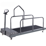 Dog Treadmill Manufacturer - High Speed Training & Rehabilitation Equipment, Steel Frame, Oxford Cloth, CE ROHS FCC Certified