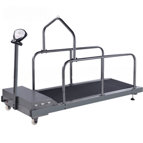 Dog Treadmill Manufacturer - High Speed Training & Rehabilitation Equipment, Steel Frame, Oxford Cloth, CE ROHS FCC Certified