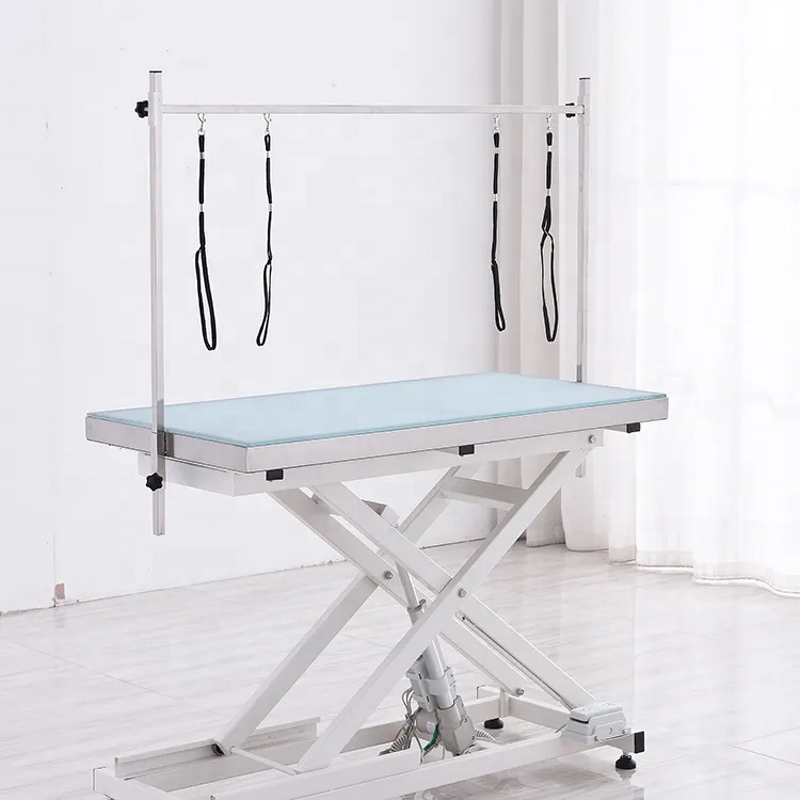 Pet Grooming Table Manufacturer - Custom Electric Lifting LED Light Stainless Steel Waterproof for Dogs and Cats