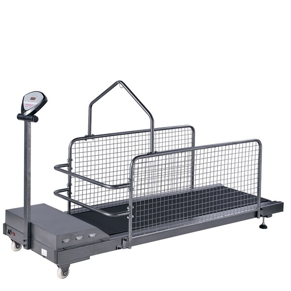 Steel Pipe Pet Treadmill Manufacturer - CE Certified Oxford Cloth Models for Dog Training