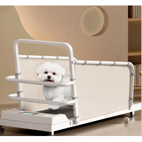 Dog Treadmill Manufacturer - New Design 2.0HP Motor 100KG Load Capacity Eco-Friendly Steel Frame
