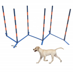 Dog Agility Training Equipment Manufacturer - Competition Grade Plastic Obstacle Course with Poles