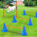 Dog Agility Training Set Manufacturer - Plastic Circle Jumping Hurdles for Pet Training