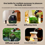 Bergamot Essential Oil Manufacturer - Cold-Pressed for Perfumes, Massage & Diffusers