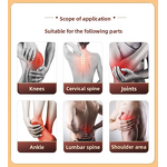 Natural Pain Relief Patch Manufacturer - Rhizoma Drynariae & Safflower for Lumbar Disc