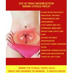 Uterus Patch Manufacturer - Warming Menstrual Heating Pad for Period Pain Relief