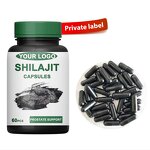 Shilajit Capsules Manufacturer - Private Label & Bulk Supplement Extract