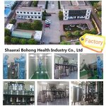 Moringa Seed Oil Manufacturer - Bulk Wholesale Price