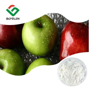 Apple Juice Concentrate Powder Manufacturer - 100% Pure Organic Apple Flavor