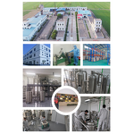 Liposomal Vitamin B2 Powder Manufacturer - 70% Purity Factory Supply