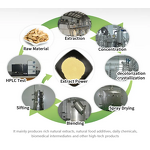 Lion's Mane Mushroom Capsules Manufacturer - Private Label Supplement
Lion's Mane Mushroom Capsules Manufacturer - Private Label & OEM
Lion's Mane Mushroom Capsules Manufacturer - Private Label & Bulk Supply