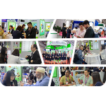 Liposomal NMN Powder Manufacturer - 50% & 70% Nicotinamide Mononucleotide