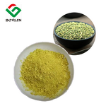 Liposomal Quercetin Powder Manufacturer - Sophora Japonica Extract Food Grade Supplement