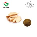 Tongkat Ali Root Extract Powder Manufacturer - Herbal Supplement Extract