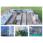 Rice Bran Extract Powder Manufacturer - 100% Pure Natural Organic with Allicin in Bottle or Drum