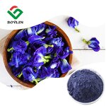 Butterfly Pea Flower Powder Manufacturer - Organic Blue Pea Pollen Powder