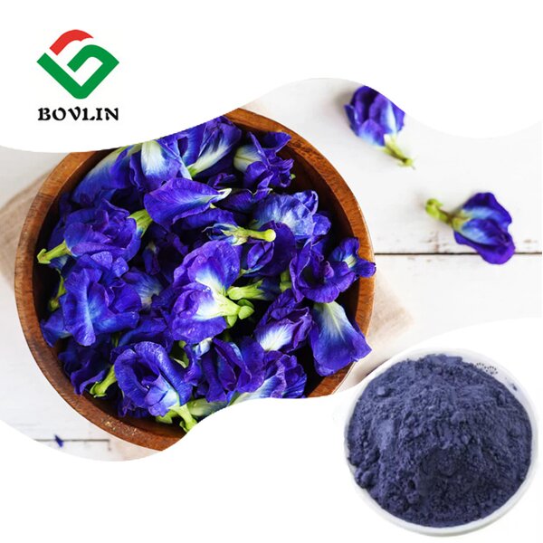 Butterfly Pea Flower Powder Manufacturer - Organic Blue Pea Pollen Powder