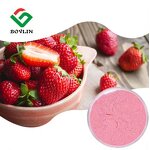 Organic Strawberry Extract Powder Manufacturer - Freeze-Dried Fruit Juice Flavor Powder